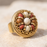ANILLO JANG