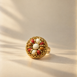 ANILLO JANG