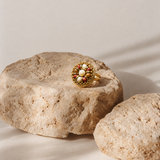 ANILLO JANG