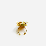 LUTTE RING