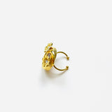 LUTTE RING